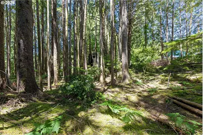 700 SE Blk Terry Pl Tl1900, Depoe Bay, OR 97341 - Photo 10