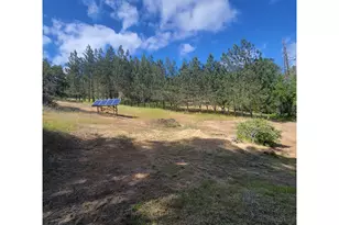 0 Rice Creek Rd, Winston, OR 97496 - Photo 38