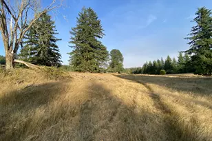 23801 NE Muncton Dr, Yacolt, WA 98675 - Photo 4