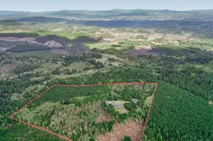 67391 Hollywood Rd, Deer Island, OR 97054 - Photo 6