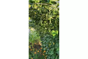 641 Mary Dr, Molalla, OR 97038 - Photo 46