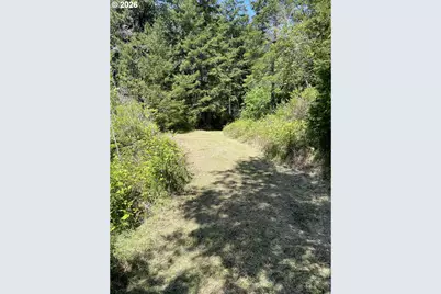 33090 Lupine Way Rd, Gold Beach, OR 97444 - Photo 10