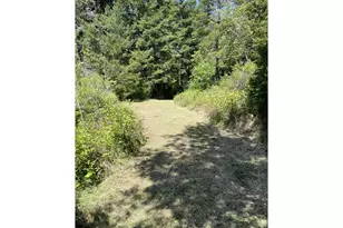 33090 Lupine Way Rd, Gold Beach, OR 97444 - Photo 10