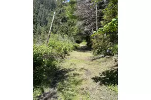 33090 Lupine Way Rd, Gold Beach, OR 97444 - Photo 8