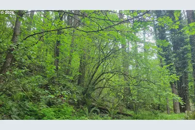 28616 SE Island Rd, Eagle Creek, OR 97022 - Photo 4