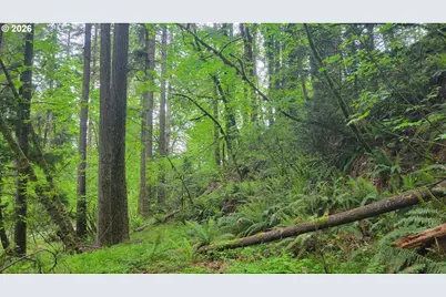 28616 SE Island Rd, Eagle Creek, OR 97022 - Photo 2