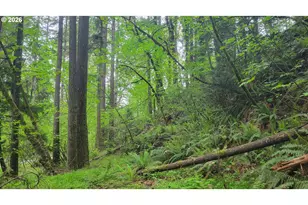 28616 SE Island Rd, Eagle Creek, OR 97022 - Photo 2
