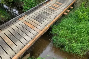 88447 Lampa Ln, Coquille, OR 97423 - Photo 48