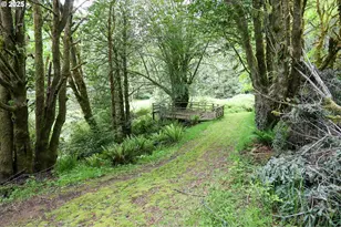 88447 Lampa Ln, Coquille, OR 97423 - Photo 44