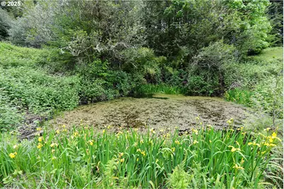 88447 Lampa Ln, Coquille, OR 97423 - Photo 42