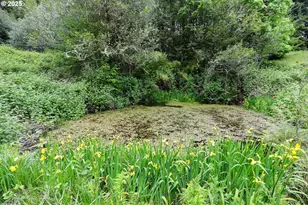 88447 Lampa Ln, Coquille, OR 97423 - Photo 42