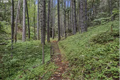 296 Mobley Dr, Azalea, OR 97410 - Photo 46