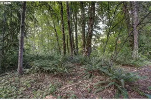 13915 NE 239th St, Battle Ground, WA 98604 - Photo 28