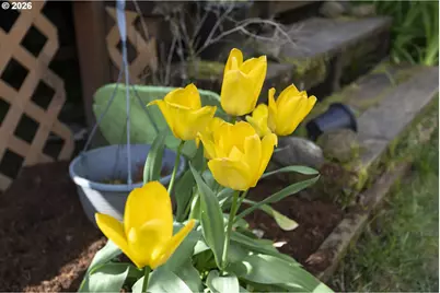 13218 NE 24th St, Vancouver, WA 98684 - Photo 22