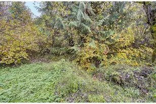 133 Lost Creek Dr, Glenoma, WA 98336 - Photo 38
