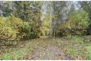 133 Lost Creek Dr, Glenoma, WA 98336 - Photo 42