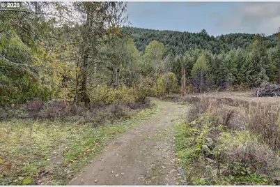 133 Lost Creek Dr, Glenoma, WA 98336 - Photo 40