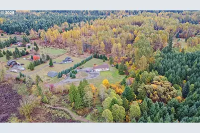 133 Lost Creek Dr, Glenoma, WA 98336 - Photo 46