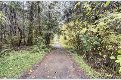 133 Lost Creek Dr, Glenoma, WA 98336 - Photo 44