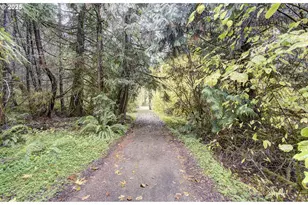 133 Lost Creek Dr, Glenoma, WA 98336 - Photo 44