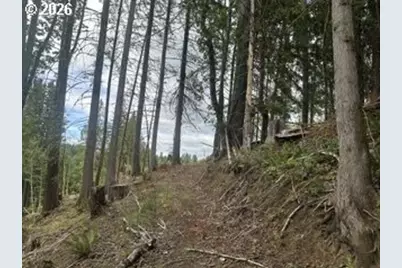 H St, Vernonia, OR 97064 - Photo 1