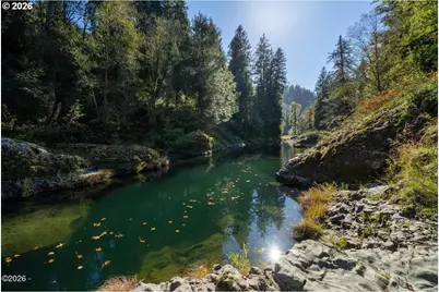 18305 Wilson River Hwy, Tillamook, OR 97141 - Photo 40
