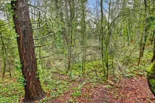 810 E Ninth St, Newberg, OR 97132 - Photo 38