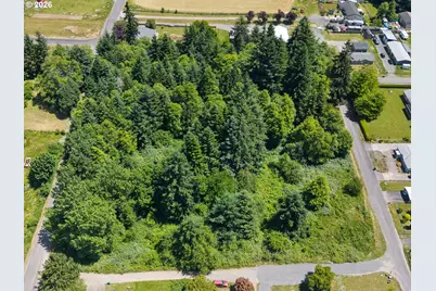 0 8th St, Vader, WA 98593 - Photo 4
