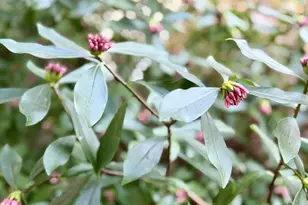 381 Marion Ln, Eugene, OR 97404 - Photo 34