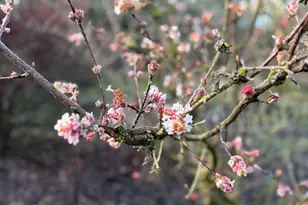 381 Marion Ln, Eugene, OR 97404 - Photo 36