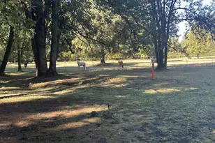 22813 NE 28th St, Camas, WA 98607 - Photo 30