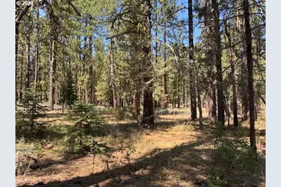 Whitetail Ln #Lot 3, Bonanza, OR 97623 - Photo 20