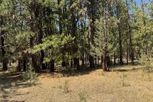 Whitetail Ln, Bonanza, OR 97623 - Photo 1