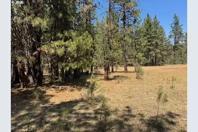 Whitetail Ln #Lot 3, Bonanza, OR 97623 - Photo 14