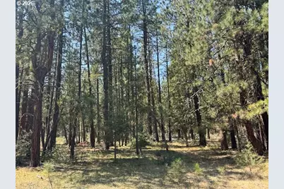 Whitetail Ln #Lot 3, Bonanza, OR 97623 - Photo 24
