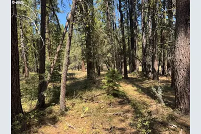 Whitetail Ln #Lot 3, Bonanza, OR 97623 - Photo 26