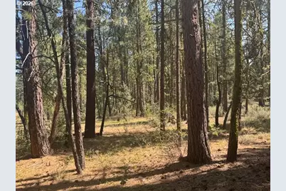 Whitetail Ln #Lot 3, Bonanza, OR 97623 - Photo 4
