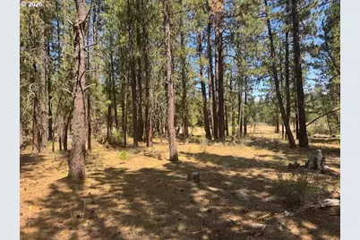 Whitetail Ln #Lot 3, Bonanza, OR 97623 - Photo 2