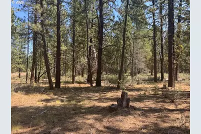 Whitetail Ln #Lot 3, Bonanza, OR 97623 - Photo 28
