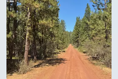 Whitetail Ln #Lot 3, Bonanza, OR 97623 - Photo 8