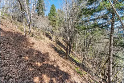 735 NW Strawberry Mountain Rd, White Salmon, WA 98672 - Photo 22