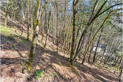 735 NW Strawberry Mountain Rd, White Salmon, WA 98672 - Photo 24