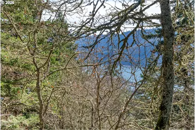 735 NW Strawberry Mountain Rd, White Salmon, WA 98672 - Photo 4