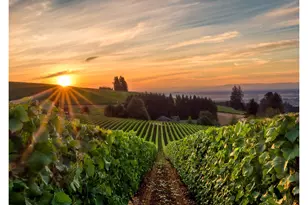 974 Legacy Ln, Eugene, OR 97402 - Photo 42