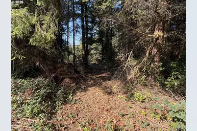 Clear Lake Rd, Florence, OR 97439 - Photo 8