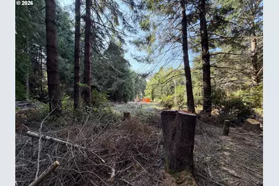 Clear Lake Rd, Florence, OR 97439 - Photo 36