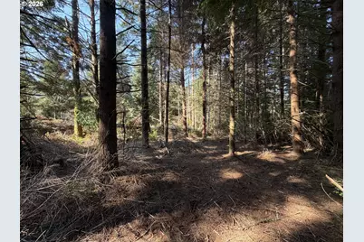 Clear Lake Rd, Florence, OR 97439 - Photo 34