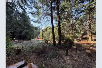 Clear Lake Rd, Florence, OR 97439 - Photo 16