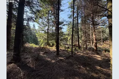 Clear Lake Rd, Florence, OR 97439 - Photo 18