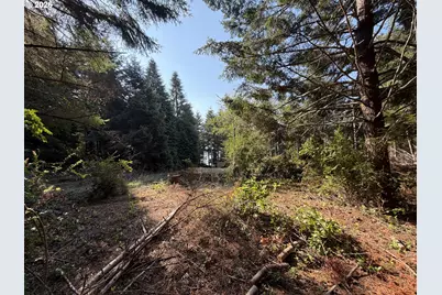 Clear Lake Rd, Florence, OR 97439 - Photo 20